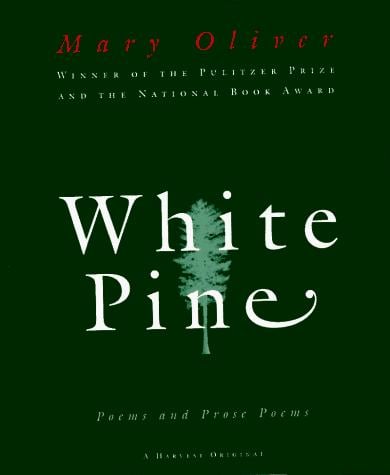 White Pine