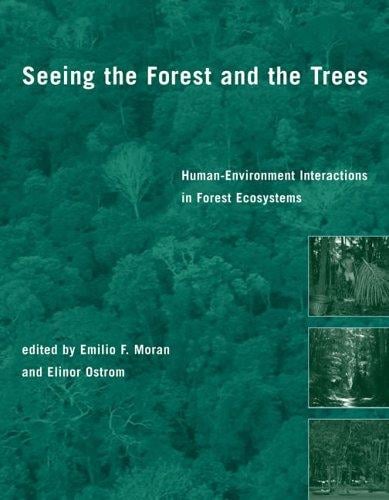Seeing the forest and the trees
