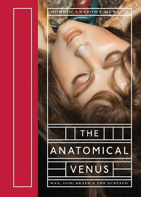 The anatomical venus