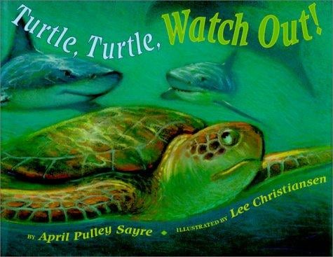Turtle, turtle, watch out!