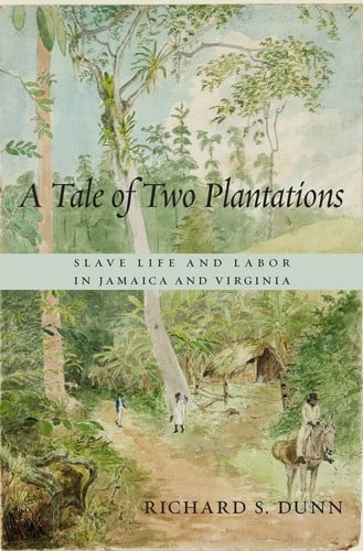 A tale of two plantations