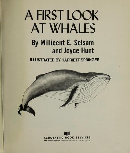 A first look at whales