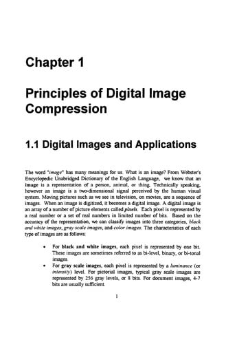 Digital Image Compression