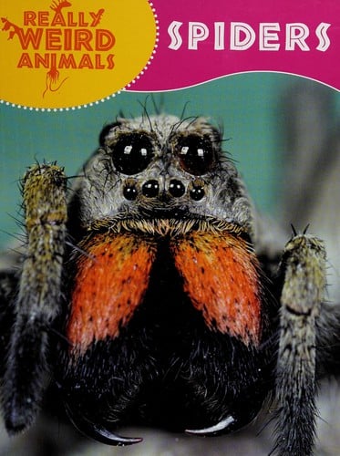 Spiders